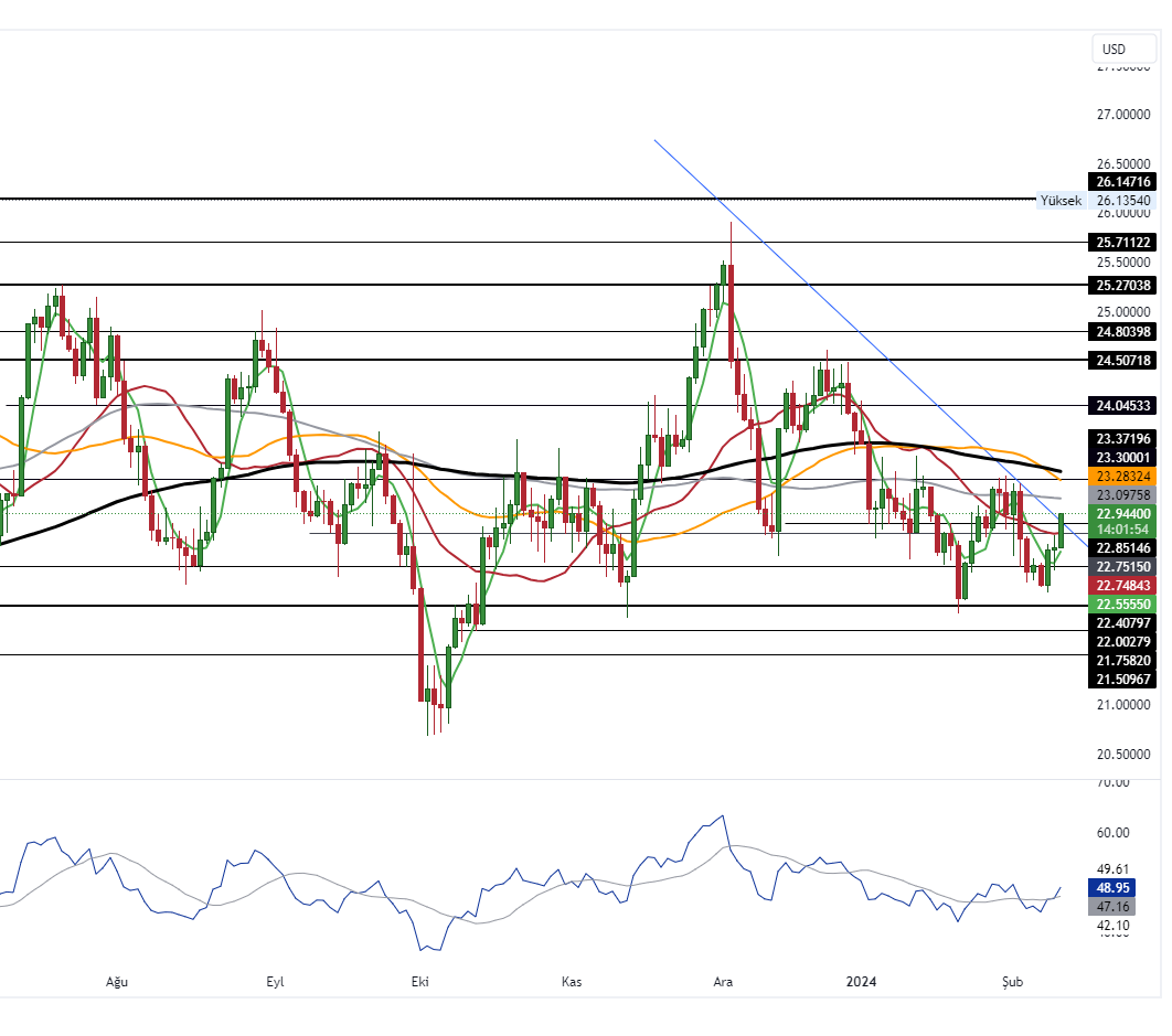 XAGUSD_2024-02-12_10-58-02_1d07b
